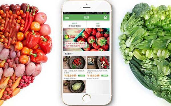 農產品銷售app定制開發對農民意義分析
