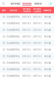 定制化項目