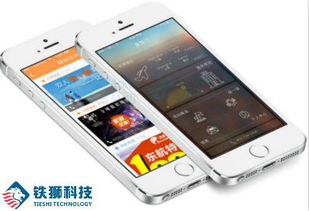成都app定制開發(fā) app外包公司如何選擇