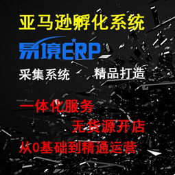 亞馬遜店群開店erp系統定制
