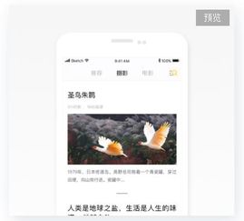 app工廠豐富的模板免費供你選擇 提供專業定制化解決方案